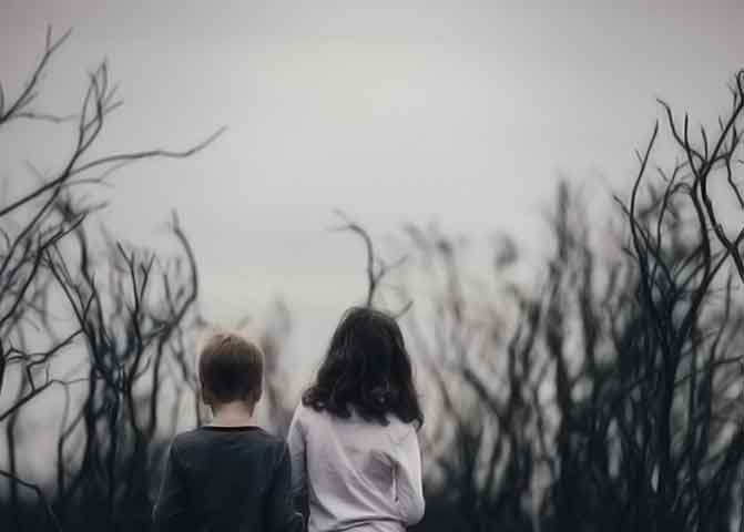 找个批发价的器测压文章